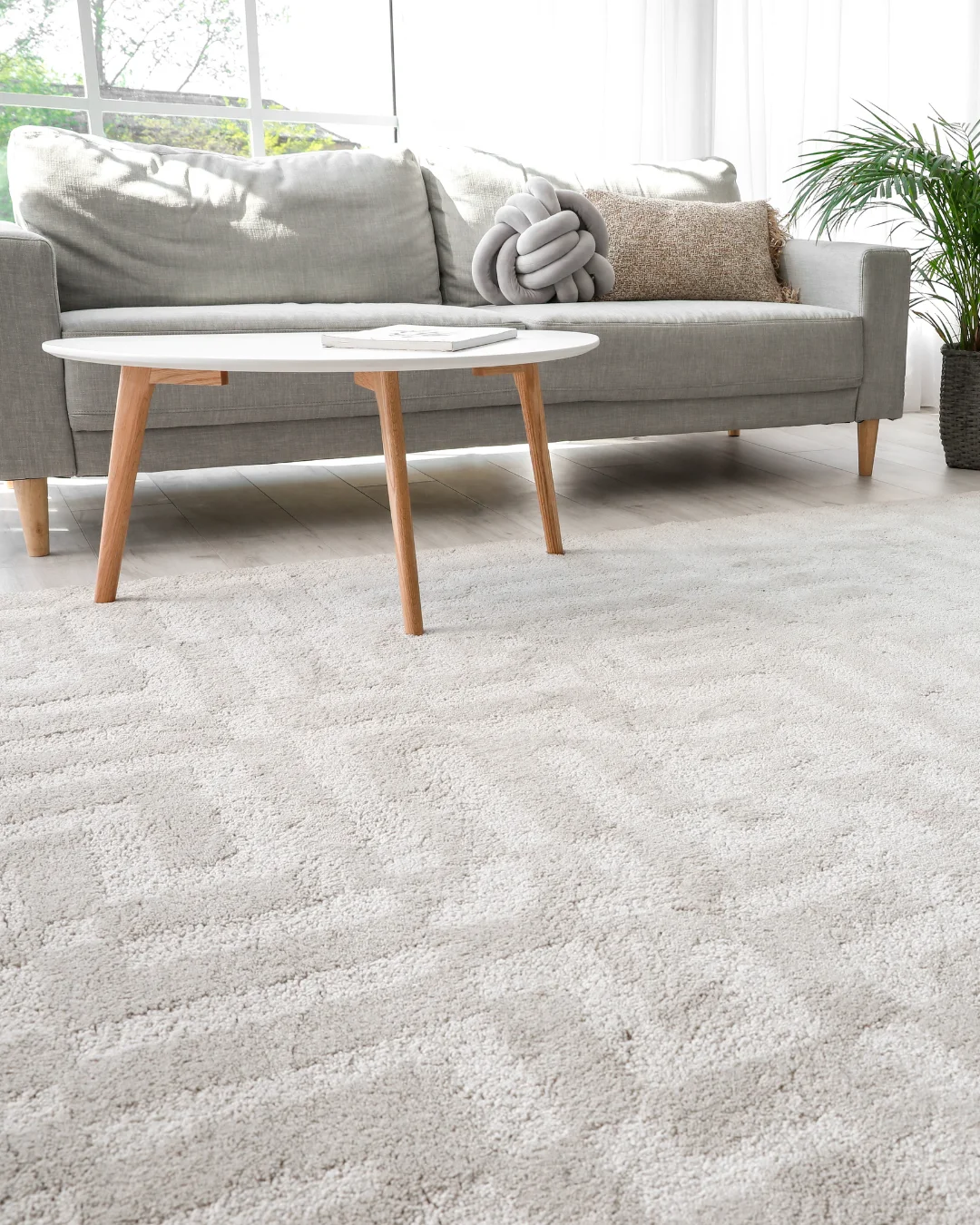 Carpet 3