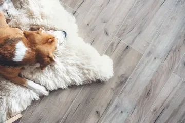 Laminate Flooring
